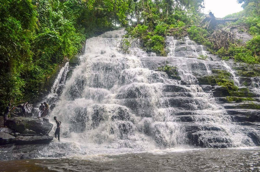 Ivory Coast Waterfalls Wallpaper