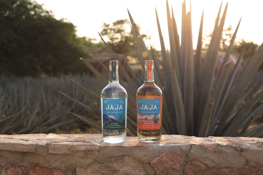 Jaja Tequilla On Agave Field Wallpaper