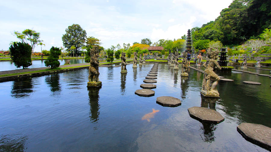 Jakarta Koi Pond Wallpaper