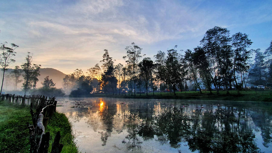 Jakarta Lake Meadow Wallpaper