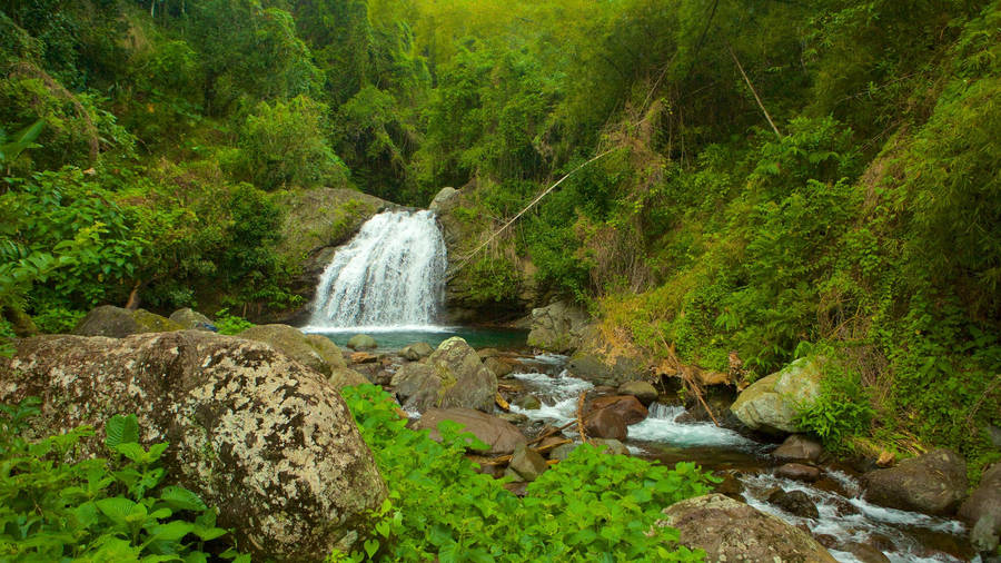 Jamaica John Crow Mountains Wallpaper