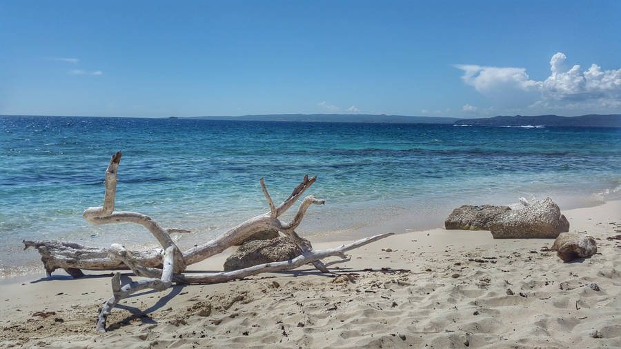 Jamaica Portmore Beach Wallpaper