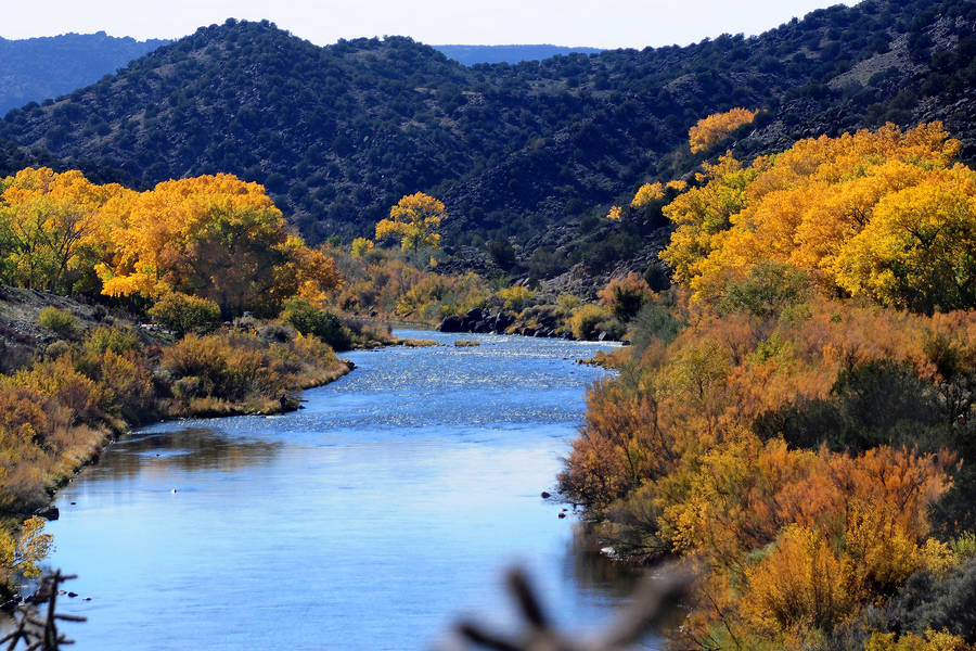 Jamaica Rio Grande River Wallpaper