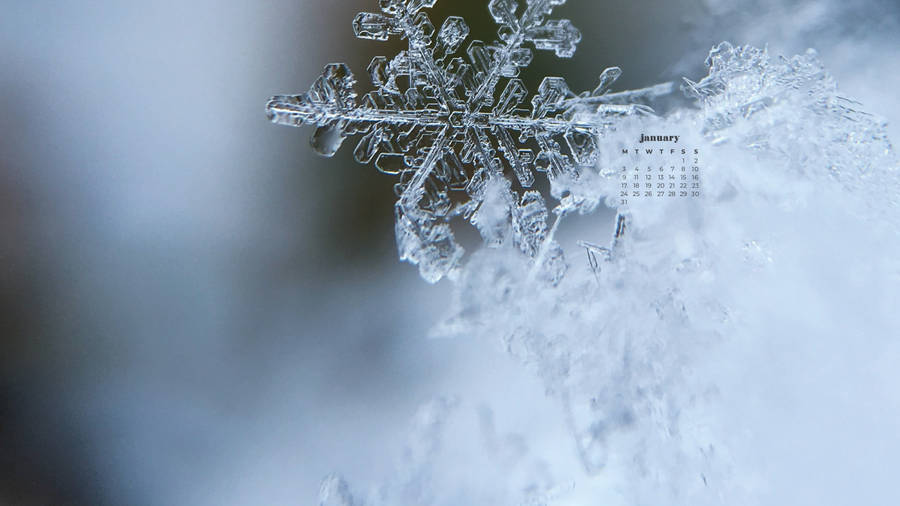 January 2022 Calendar Snowflake Close Up Wallpaper