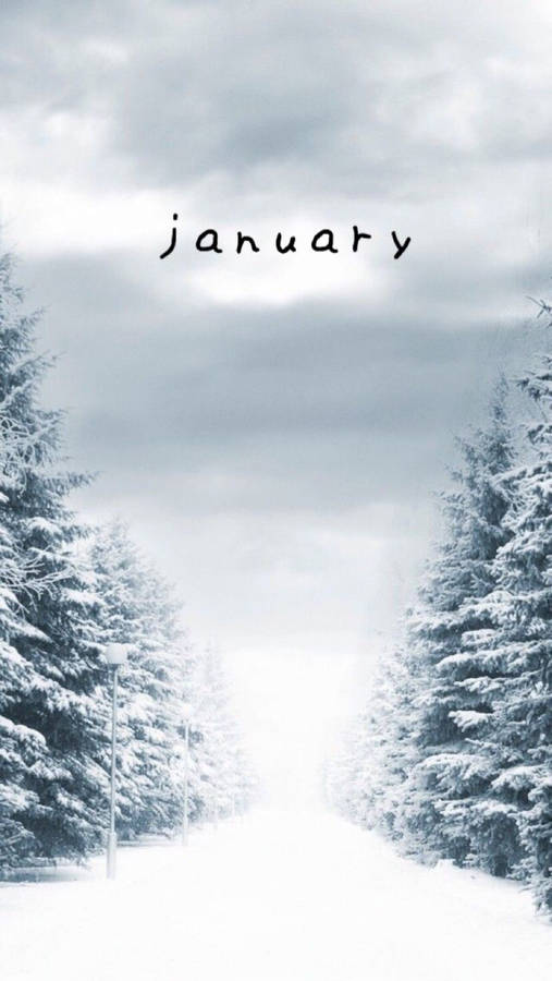 January Snow Path Wallpaper