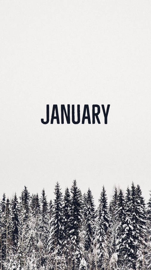 January With Monochromatic Trees Wallpaper