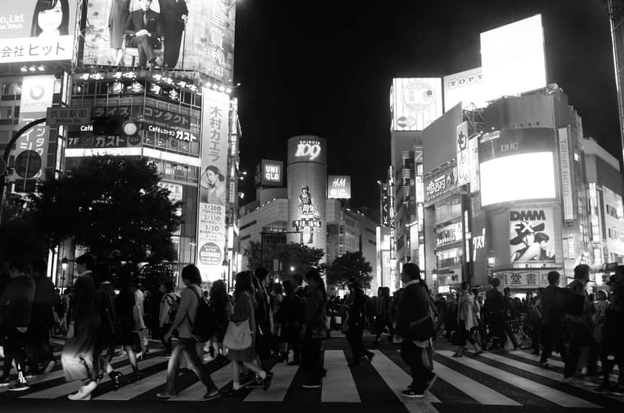 Japan Black And White Shibuya Crossing Wallpaper