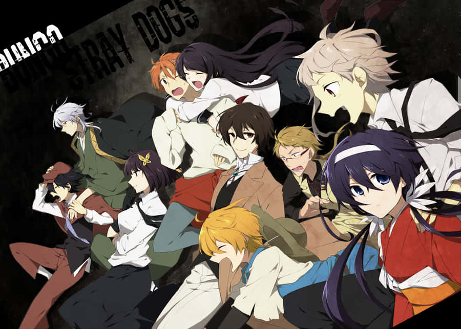 Japanese Manga Bungou Stray Dogs Wallpaper