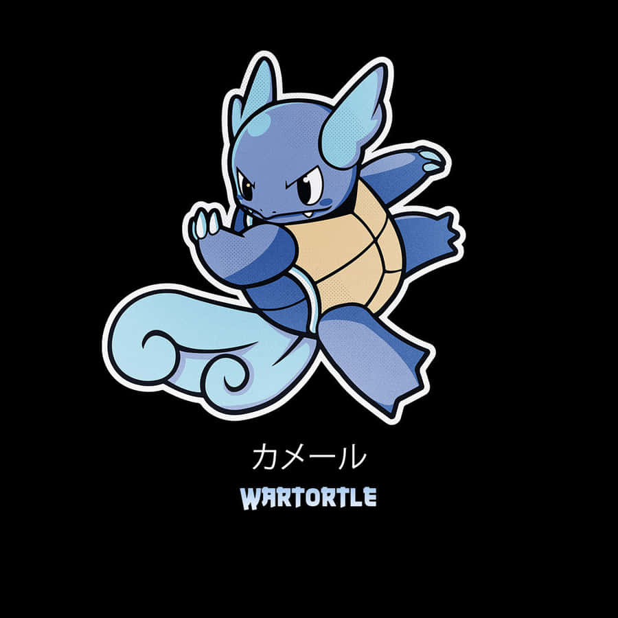 Japanese Name Of Wartortle Wallpaper