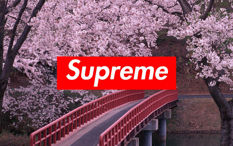 Japanese Supreme Laptop. Wallpaper