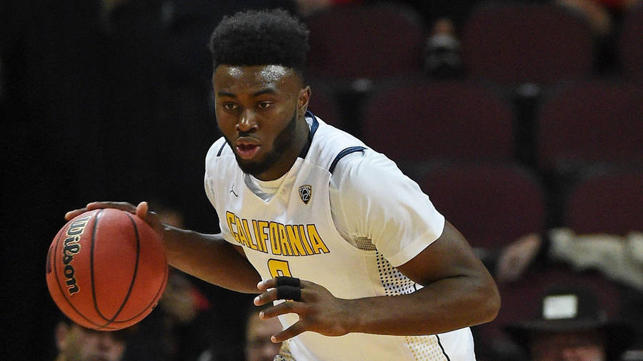 Jaylen Brown California College Wallpaper