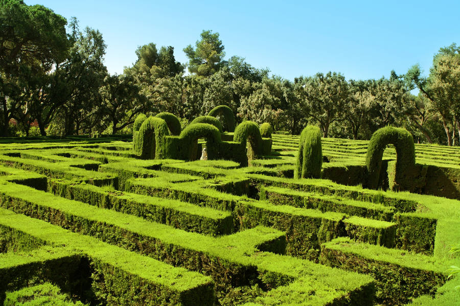 Jeju Island Maze Park Wallpaper