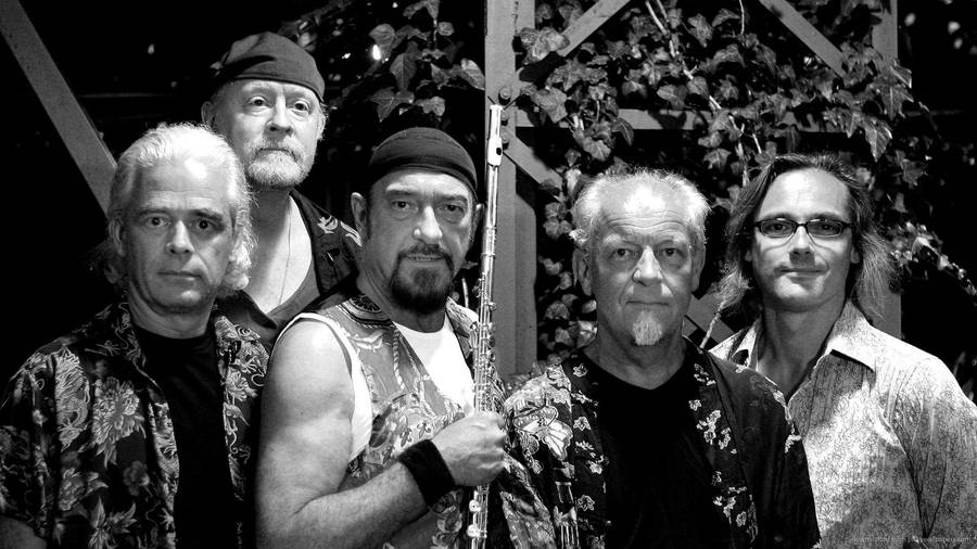 Jethro Tull Rock Band 2007 Black And White Medium Shot Wallpaper