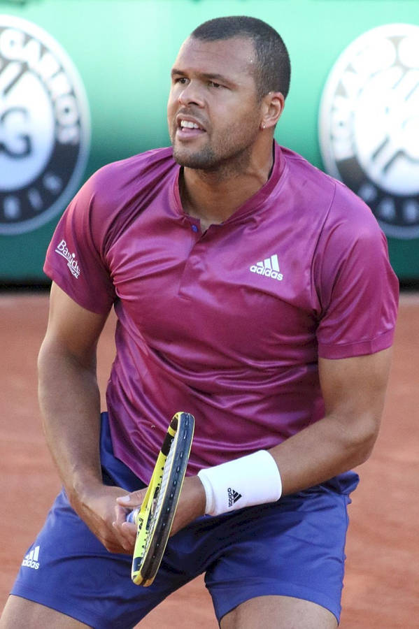 Jo-wilfried Tsonga Magenta Adidas Shirt Wallpaper