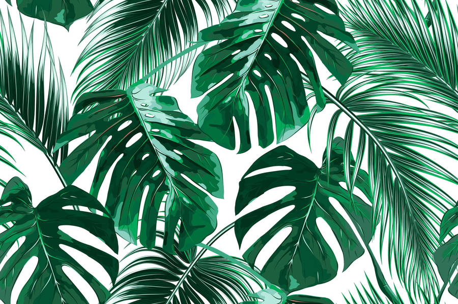 Joana Removable Tropical Palm Leaves 7.92' L X 150 W Peel And Stick Wallpaper Roll Wallpaper