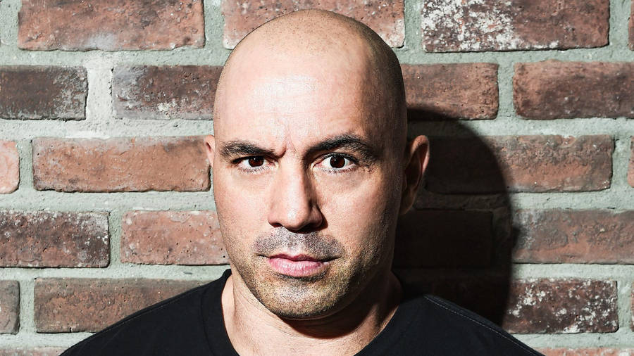 Joe Rogan Leaning On A Brick Wall Wallpaper