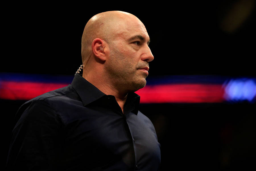 Joe Rogan On Ufc Octagon Wallpaper