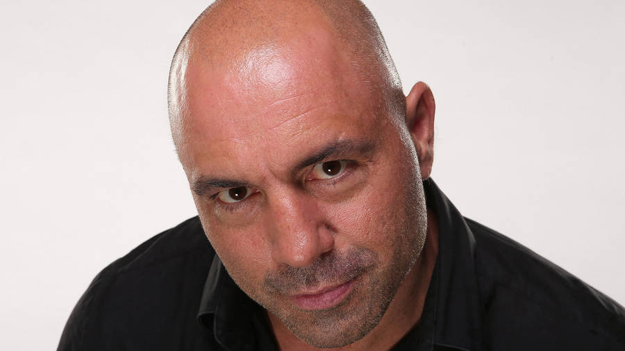 Joe Rogan Staring At Camera Wallpaper