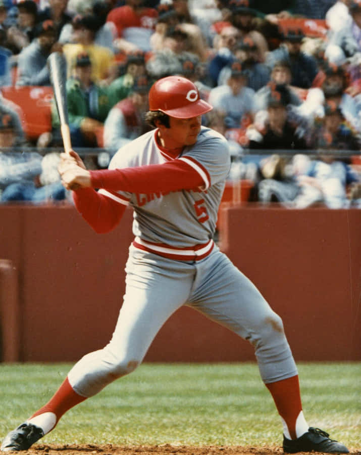 Johnny Bench At Bat Wallpaper