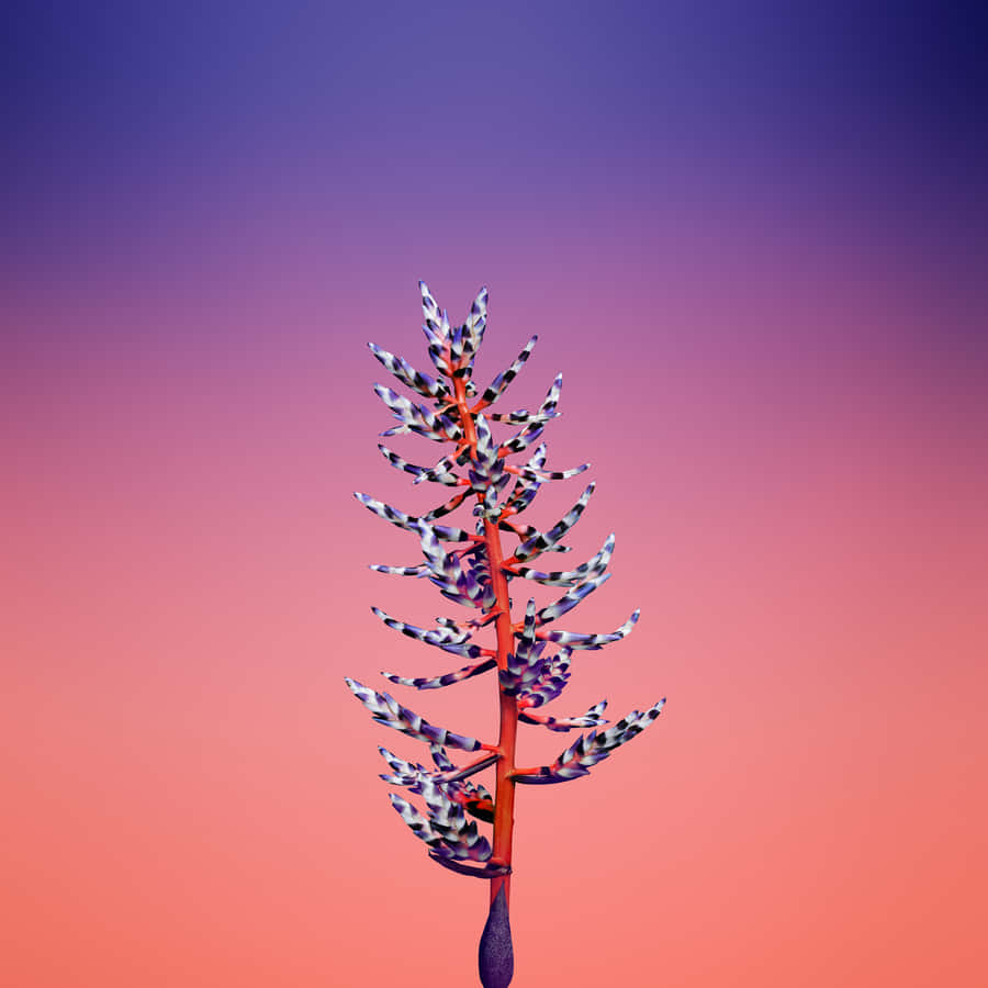 Join The Fantasy Phone Revolution Wallpaper