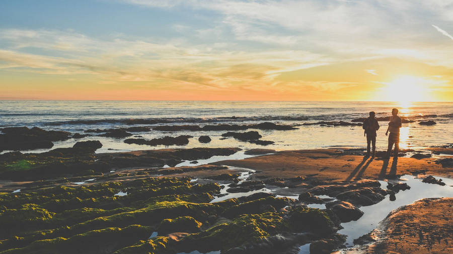 Journey Reef Point Beach Sunset Wallpaper