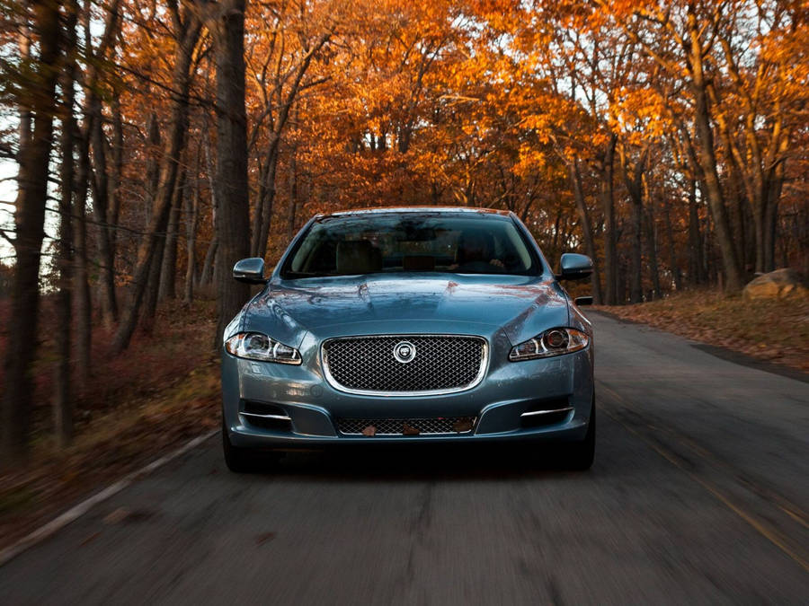 Journey Through The Wilderness In A Jaguar. Wallpaper