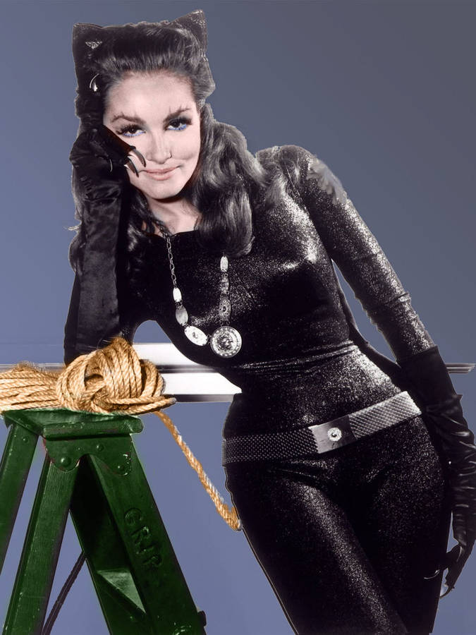 Julie Newmar As Catwoman Wallpaper