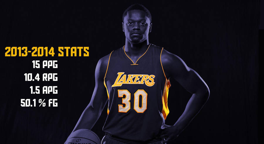 Julius Randle 2013-2014 Stats Wallpaper