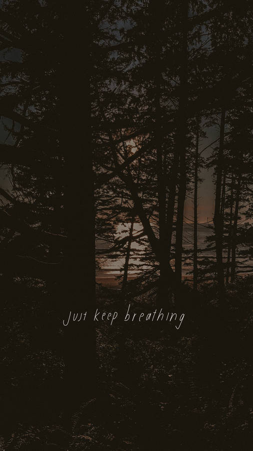 Just Keep Breathing Dark Forest Wallpaper