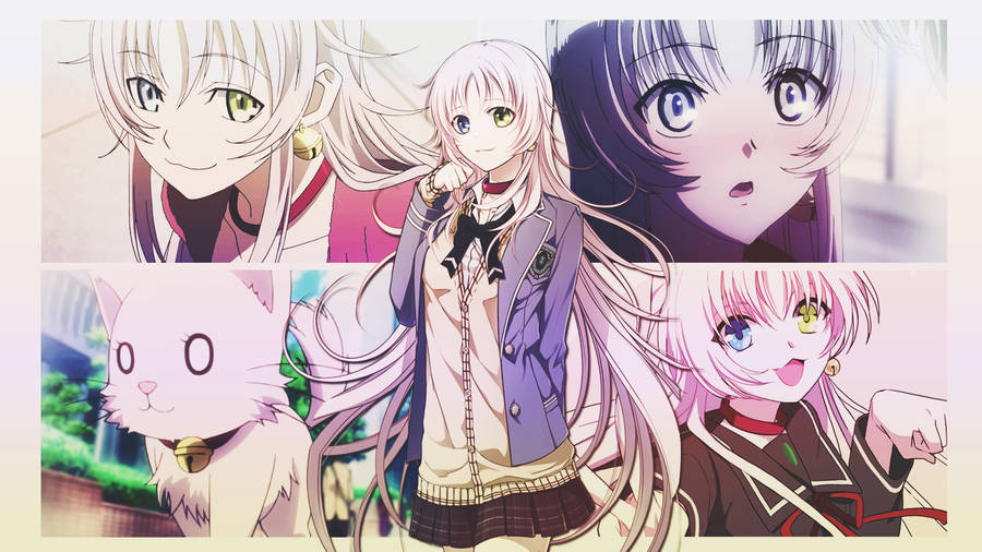 K Neko Collage Wallpaper