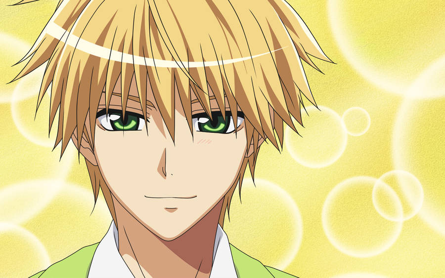 Kaichou Wa Maid Sama Usui-kun Wallpaper