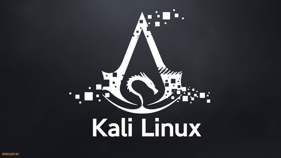 Kali Linux Ace Of Dragons Wallpaper