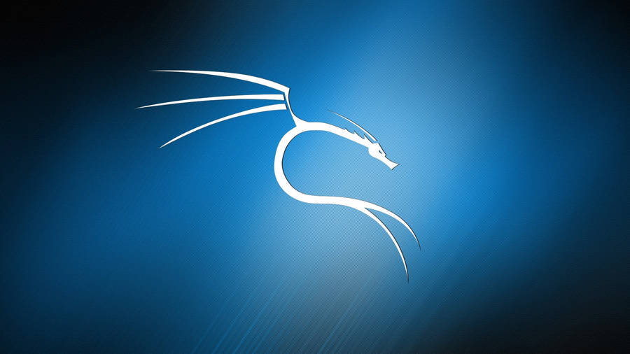 Kali Linux Os Dragon Blue Wallpaper