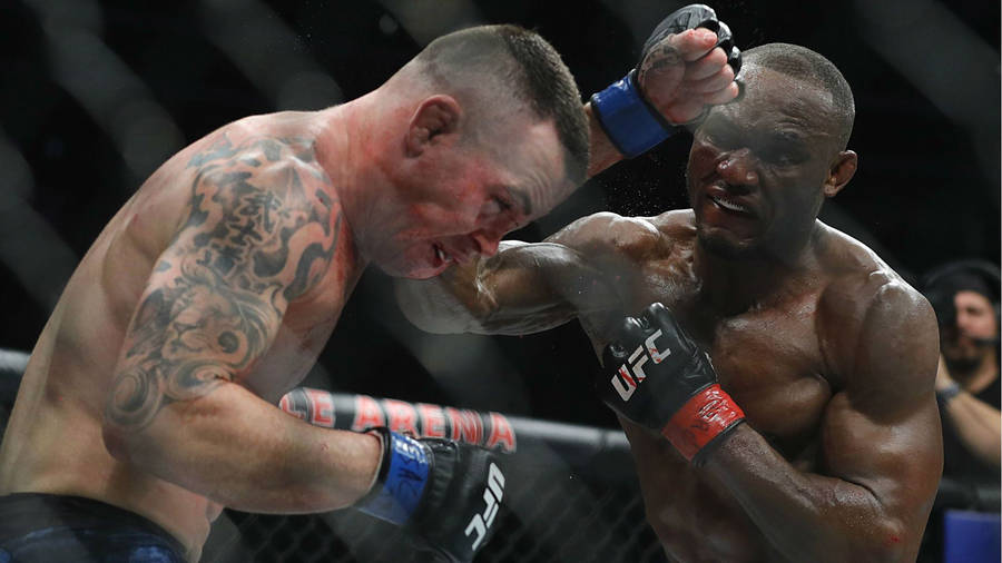 Kamaru Usman, A Dominant Force In Mixed Martial Arts Wallpaper