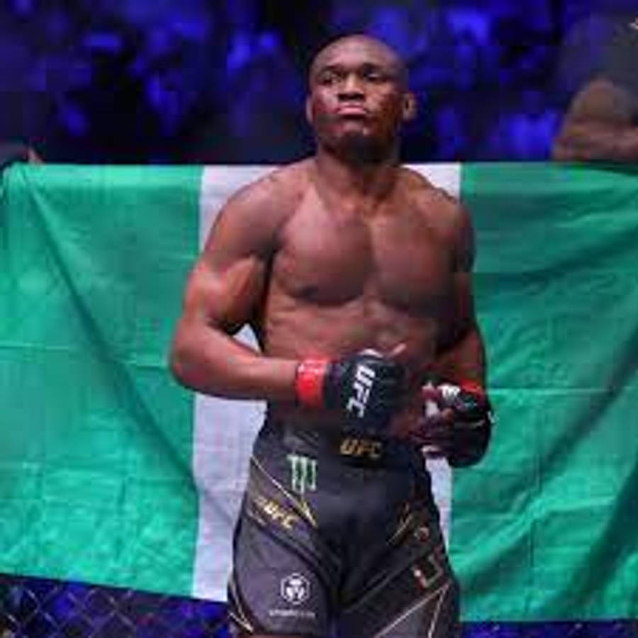 Kamaru Usman Nigeria Flag Wallpaper