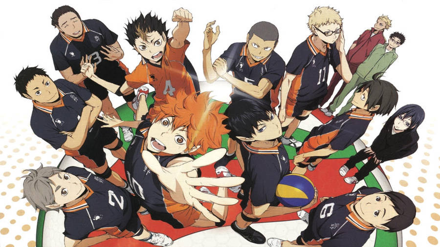 Karasuno High Haikyuu Desktop Wallpaper