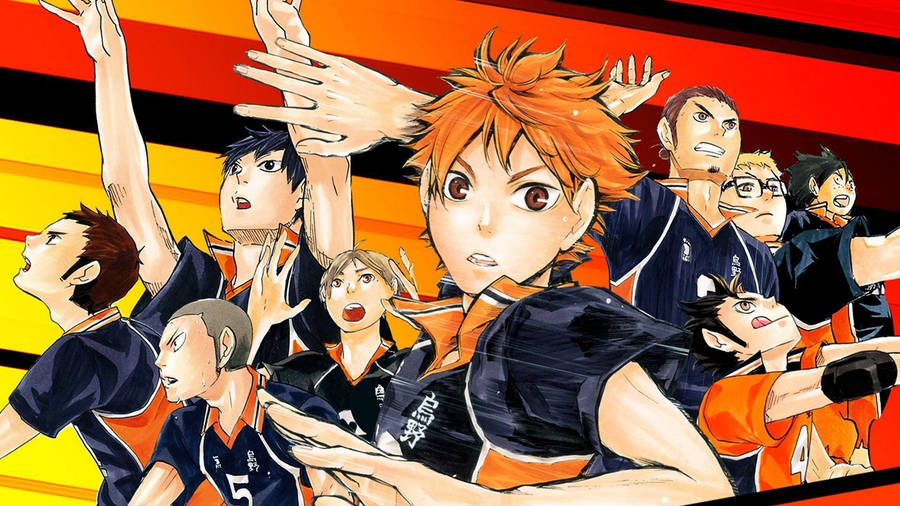 Karasuno High Haikyuu Desktop Wallpaper