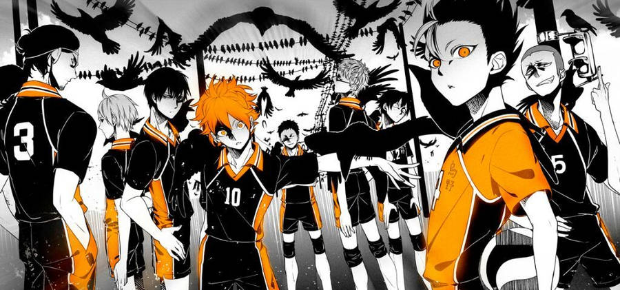 Karasuno Team Haikyuu Desktop Wallpaper