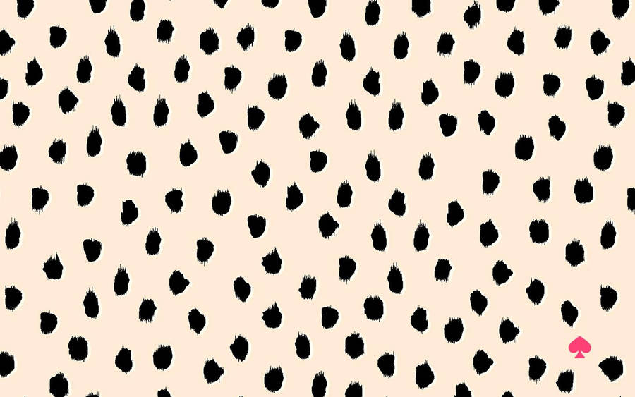 Kate spade patterns sale