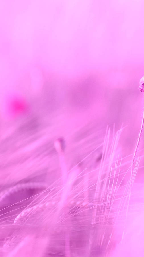 Kawaii Purple Grass Wallpaper