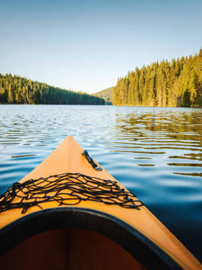 Kayaking Along Side A Forest Wallpaper