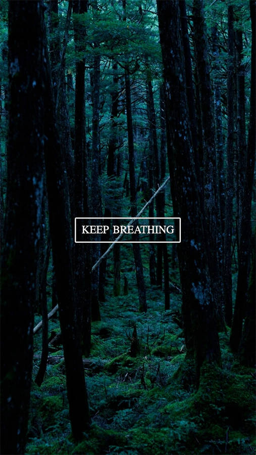 Keep Breathing Dark Trees Wallpaper