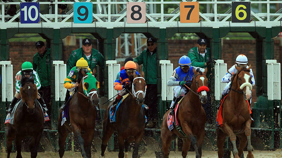 Kentucky Derby Sports Fest Wallpaper