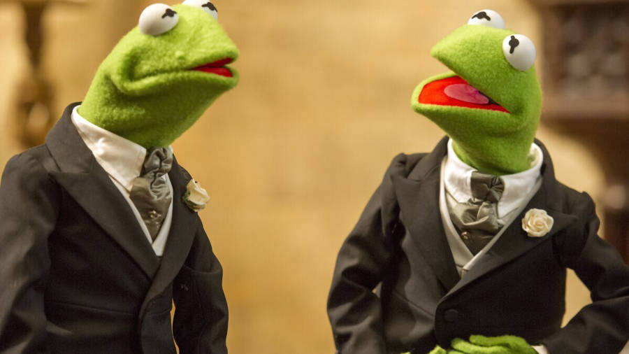 Kermit The Frog Interacting With His Look-alike In Muppets Most Wanted. Wallpaper