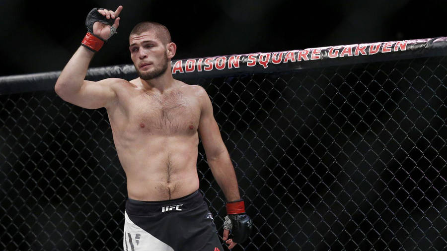 Khabib Nurmagomedov Number 1 Sign Wallpaper