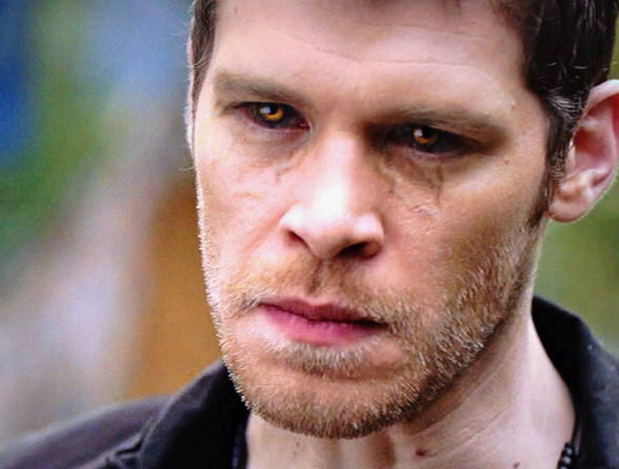 Klaus Mikaelson - The Eyes Of Vengeance Wallpaper