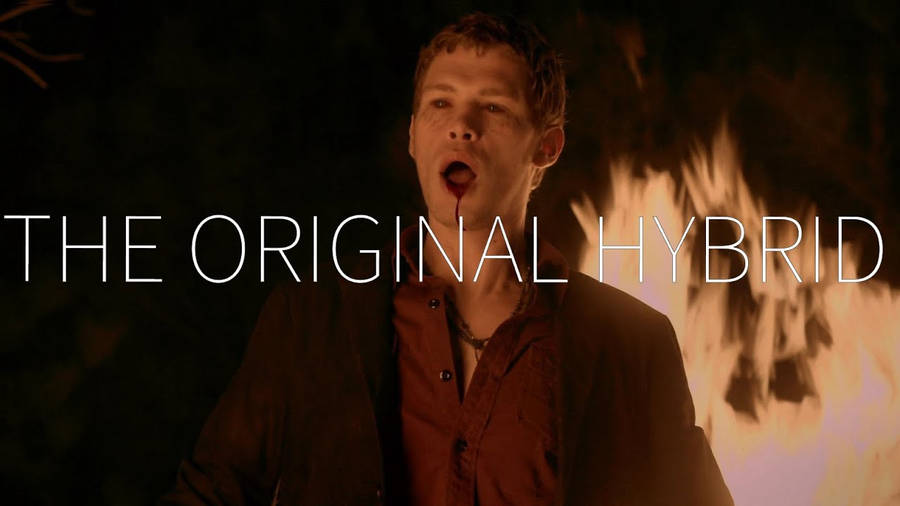 Klaus Mikaelson The Original Hybrid Wallpaper