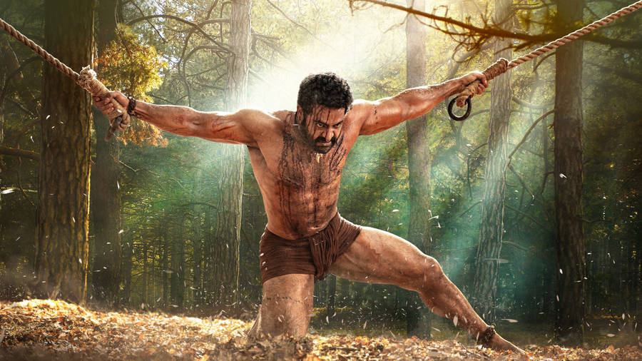 Komaram Bheem From Rrr Wallpaper