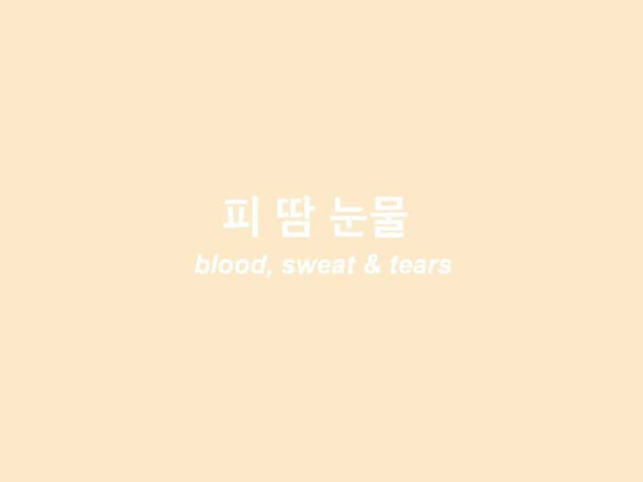 Korean Aesthetic Beige Computer Wallpaper