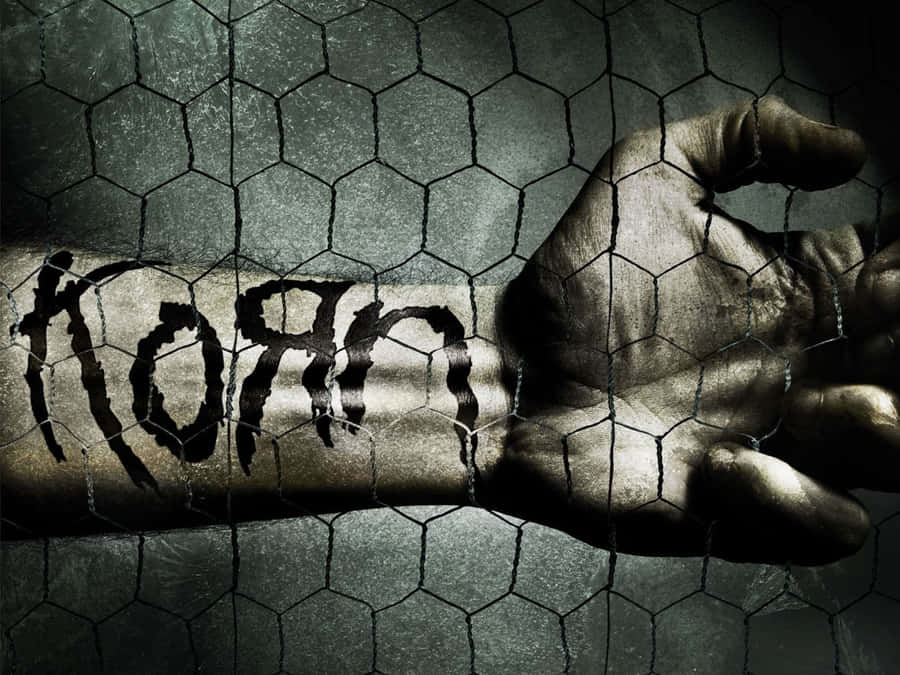 Korn Arm Paint Wallpaper